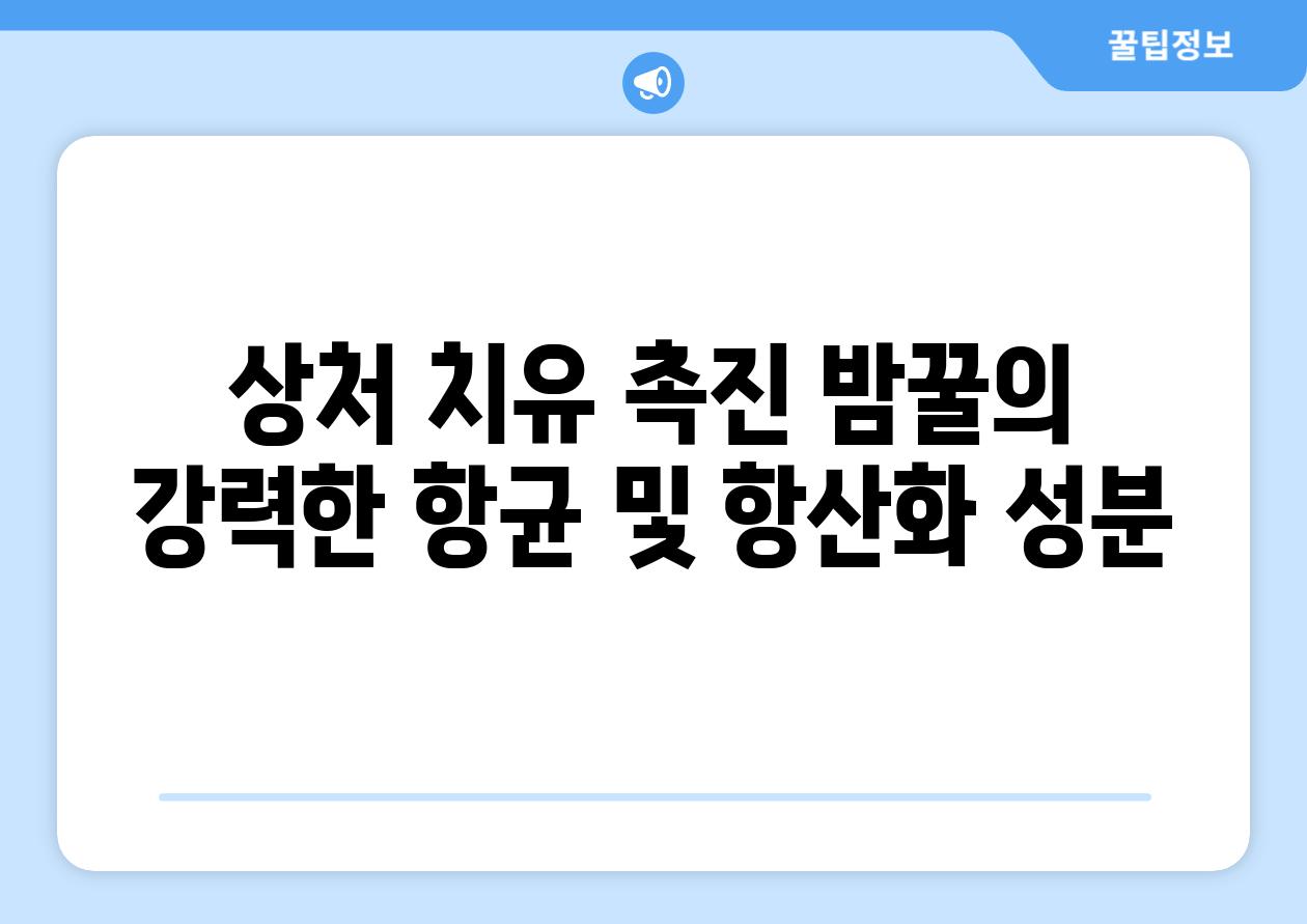 상처 치유 촉진 밤꿀의 강력한 항균 및 항산화 성분