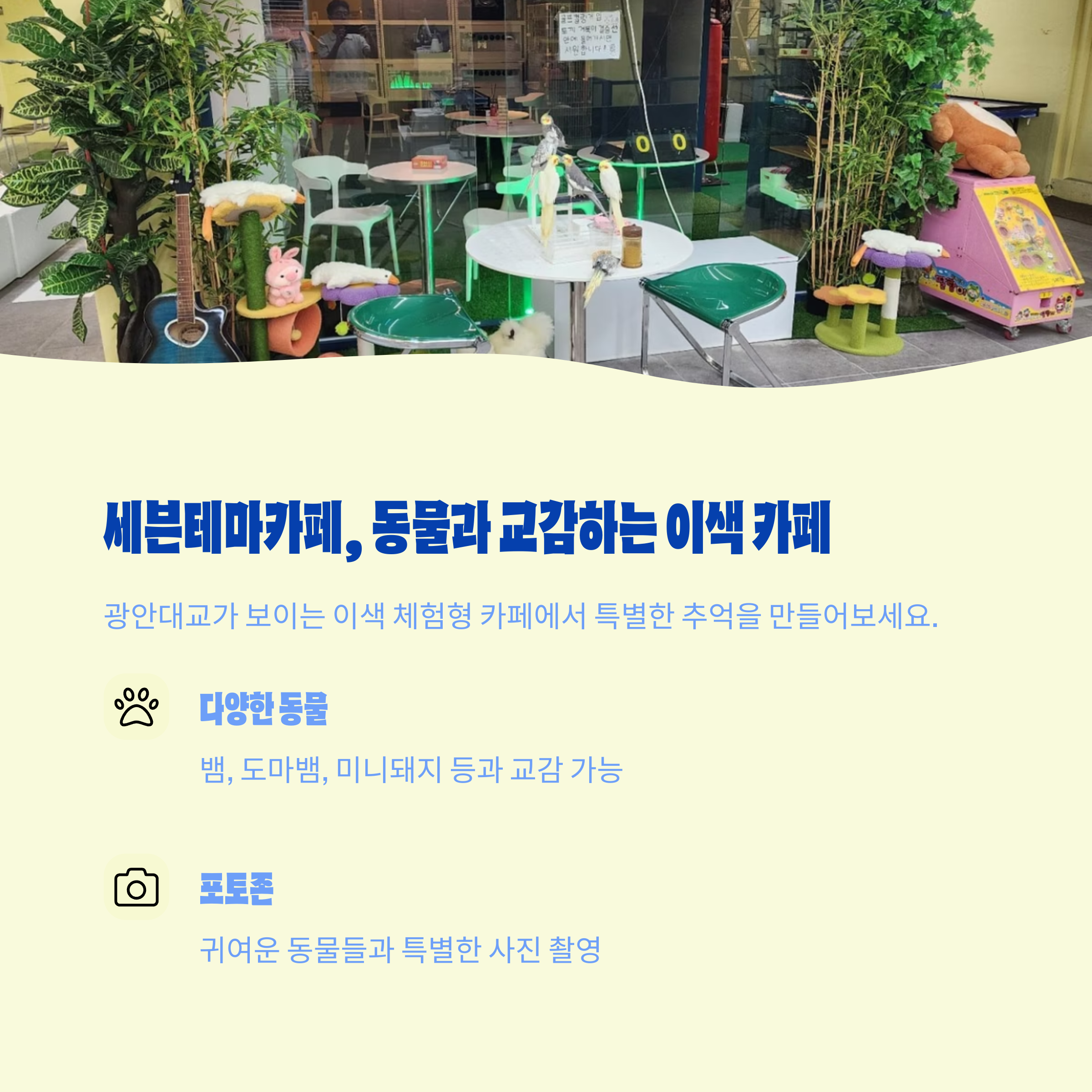 세븐테마카페