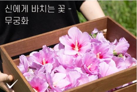 무궁핏