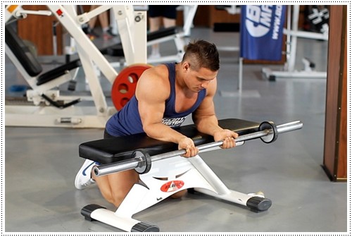 리스트컬 이미지