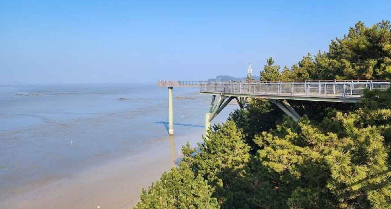 서천 가볼만한곳 베스트10 장항 송림산림욕장 & 장항 스카이워크