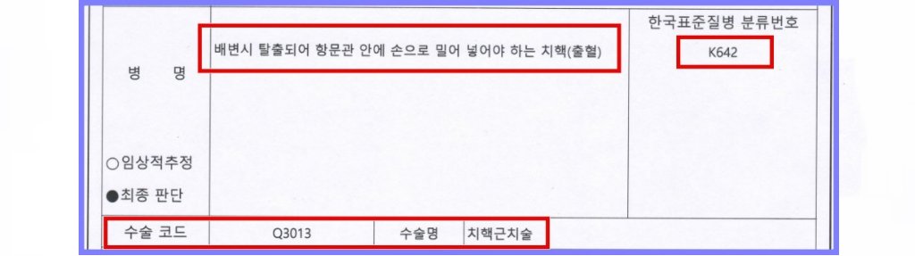 치핵수술확인서 일부(병명 K642)