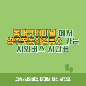 동대구터미널에서 영주꽃동산정류소 가는 시외버스 시간표 최신정보