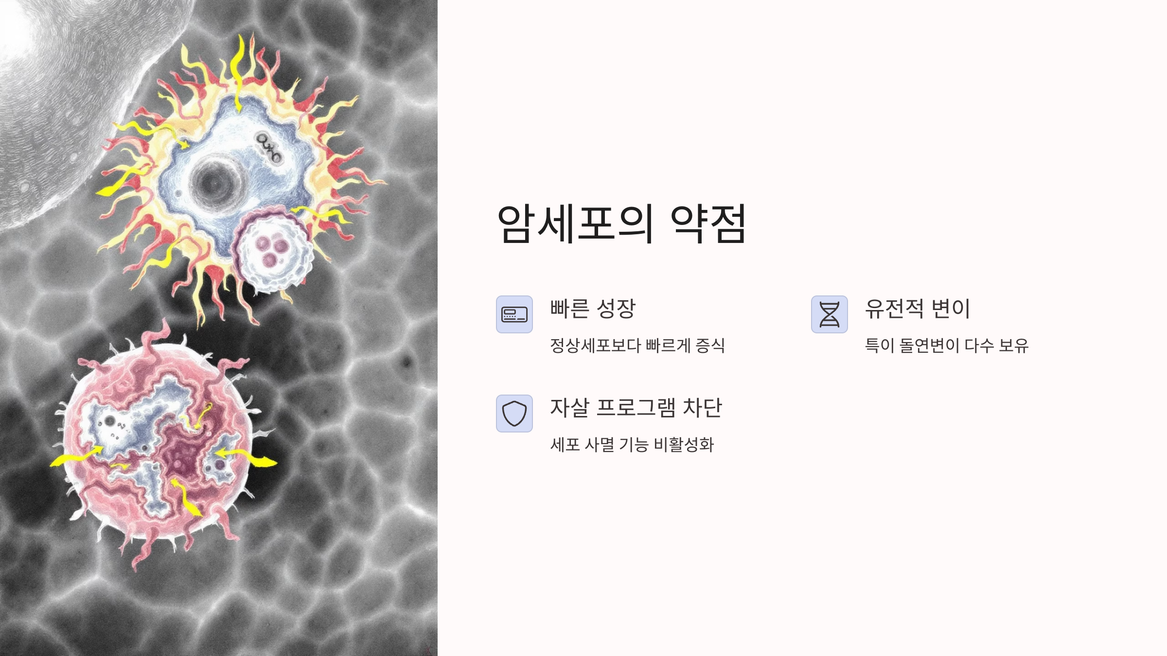 암세포의 약점