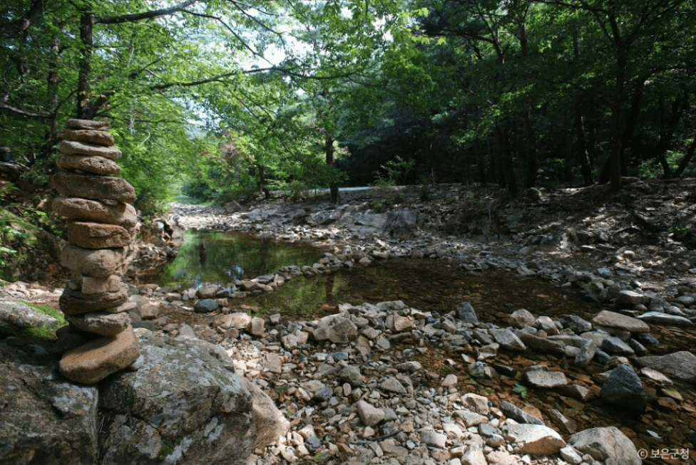 보은군 만수계곡