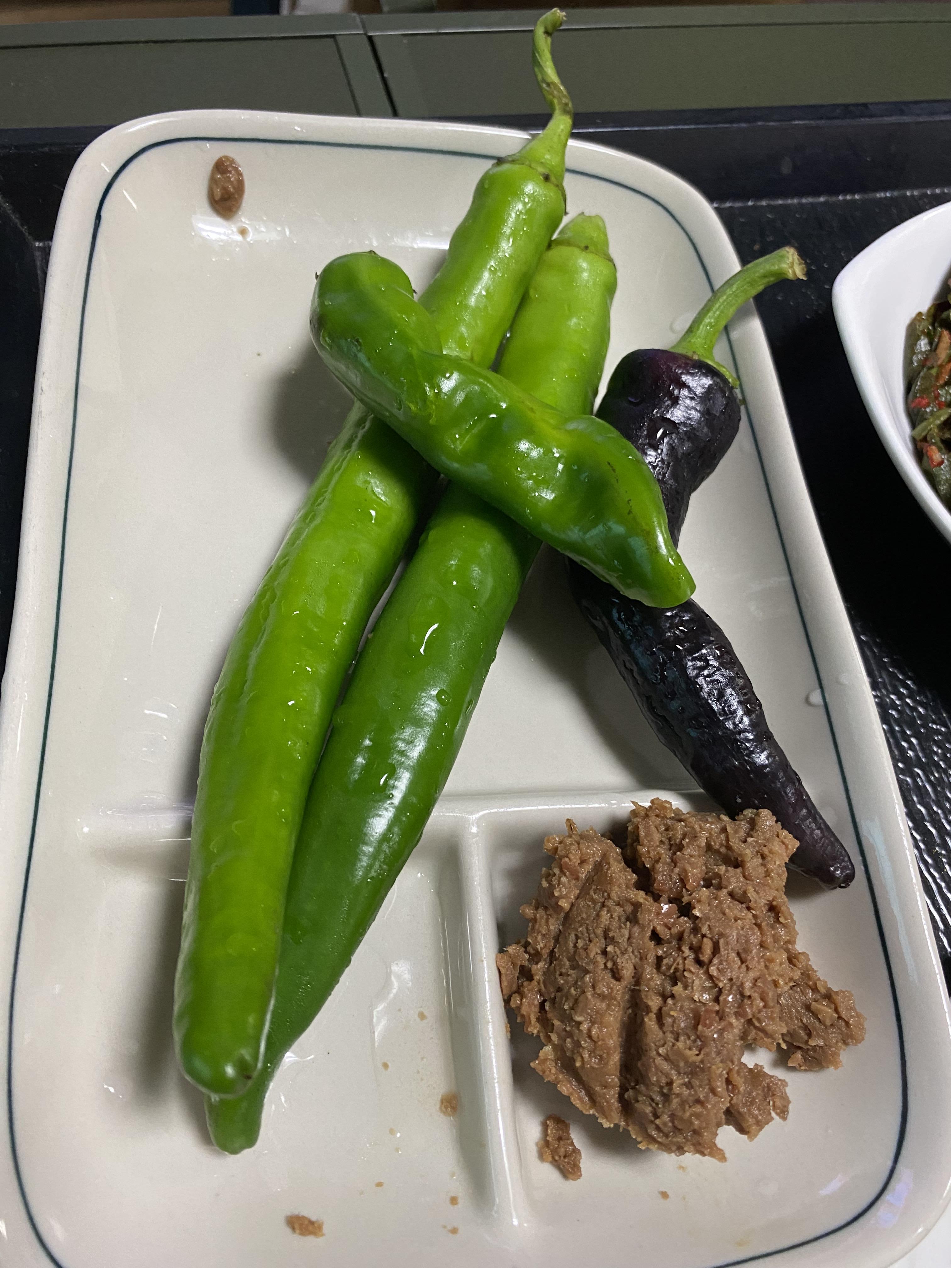 Alt 속성 문제 해결 설명 이미지