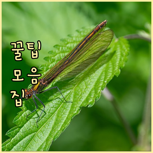 고용센터 문의 전 육아휴직급여 지급 ..