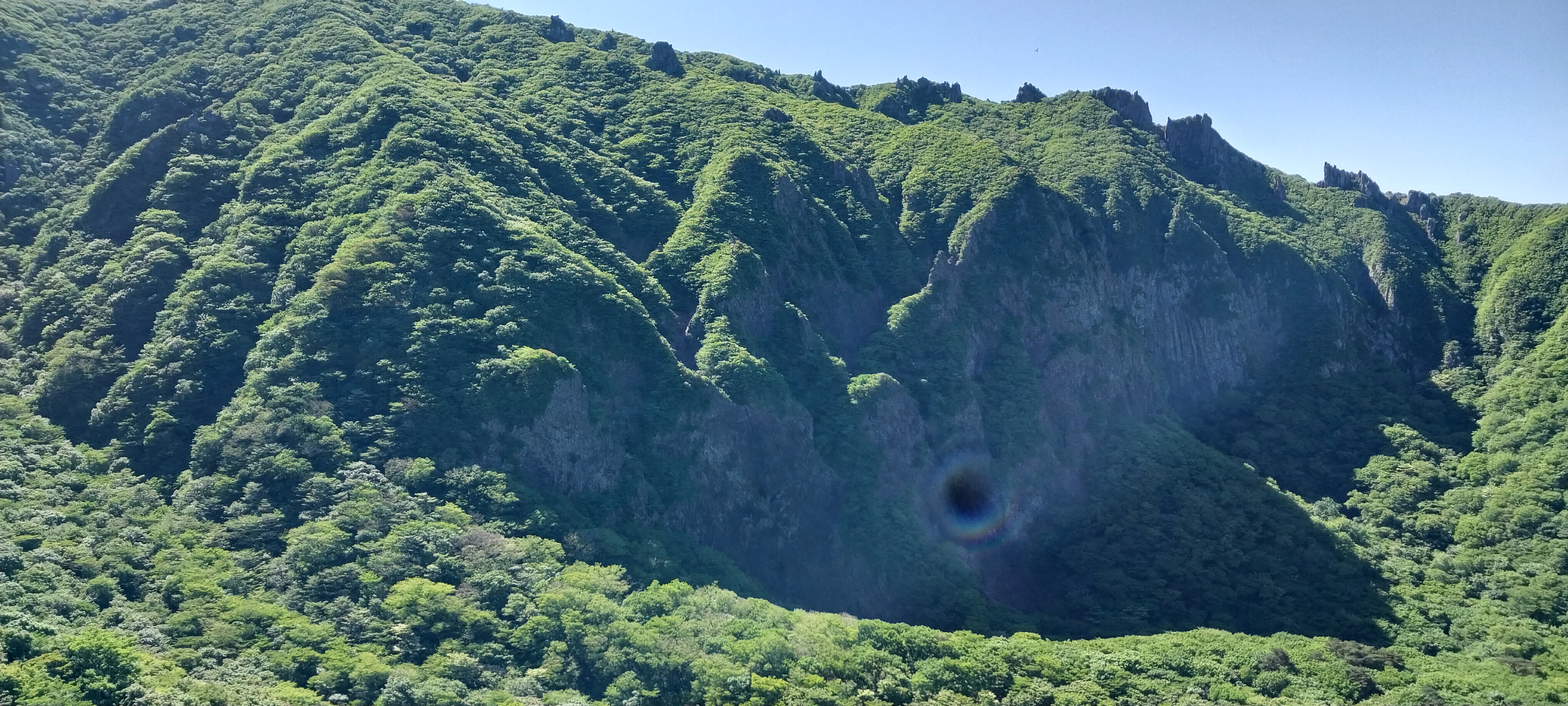 한라산 윗세오름 철쭉꽃