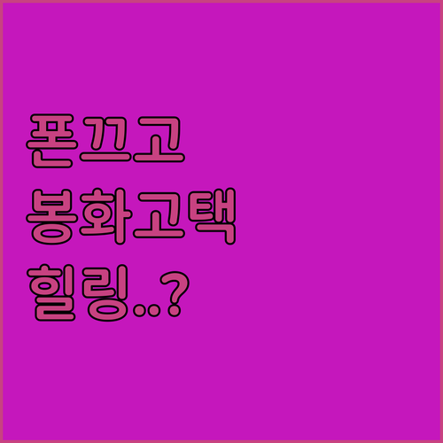 봉화 디지털 디톡스 여행지 축서사 사..