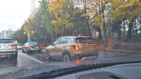 셀토스발레그린실물