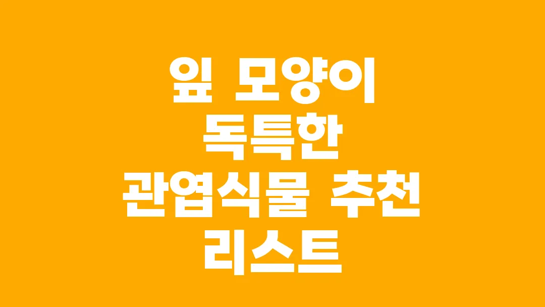 잎 모양이 독특한 관엽식물 추천 리스트