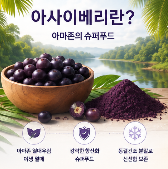 아사이베리분말-효능-먹는방법-부작용-항산화-효과