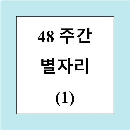 48주간 별자리 제목 상자