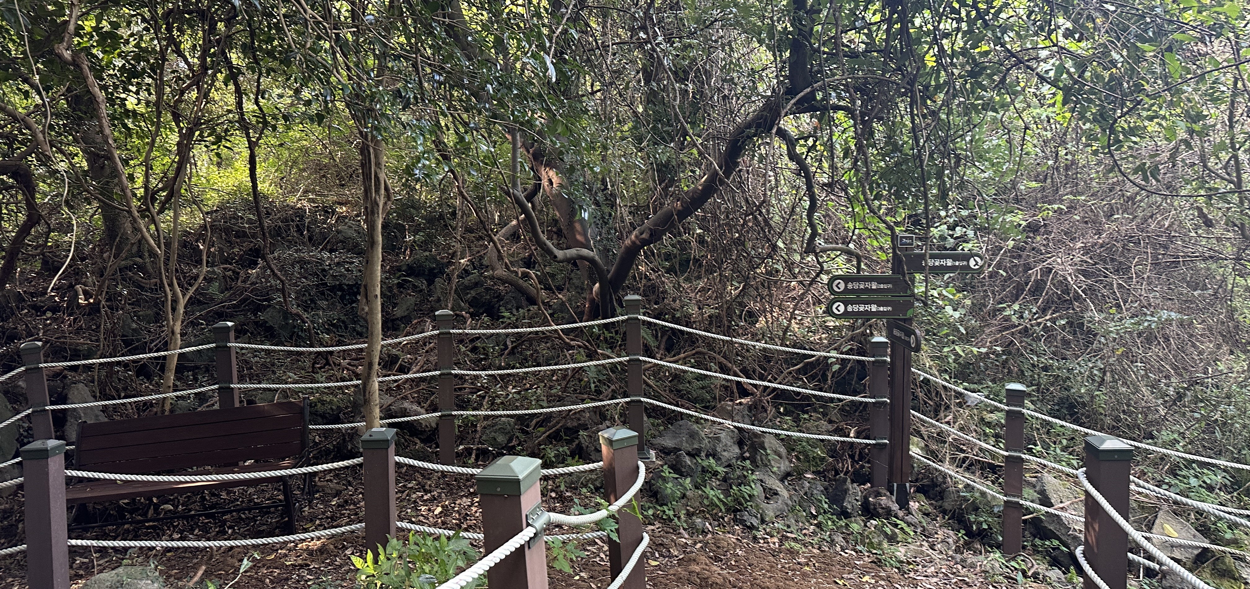 송당곶자왈 산책로