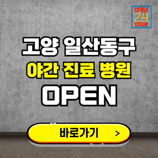 고양시 일산동구 야간진료 병원 찾기 ❘ 24시 심야 밤 늦게 여는 병원