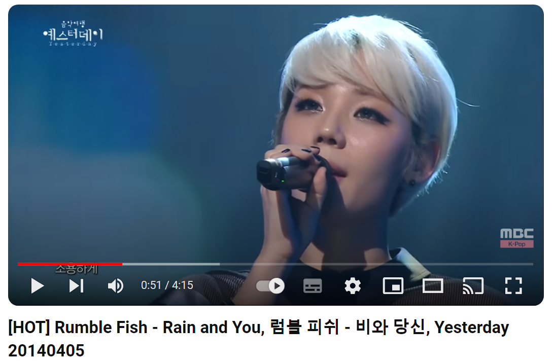 럼블-피쉬-Rumble-Fish-비와-당신