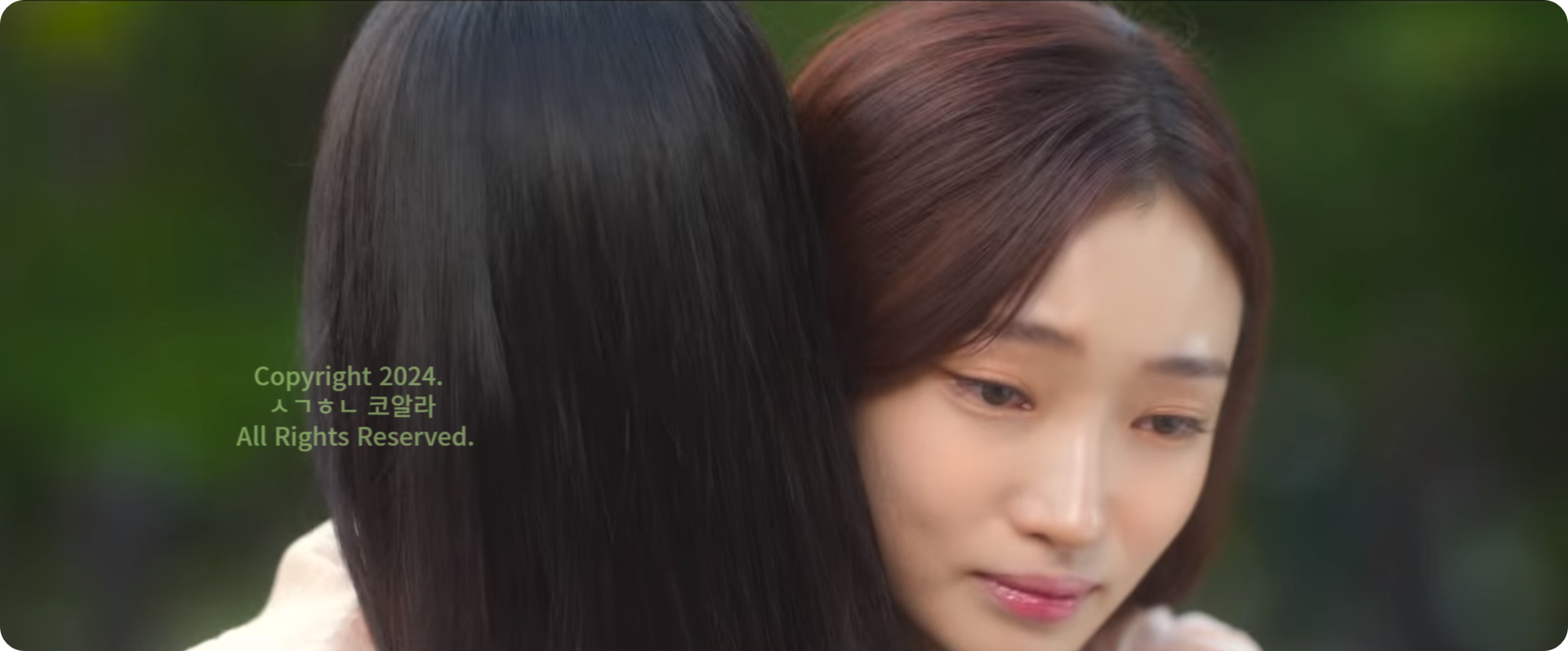 넷플릭스하이라키 정보 출처 넷플릭스 공식 에고편