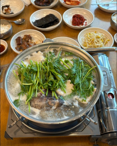 속초 생대구 메뉴 이미지