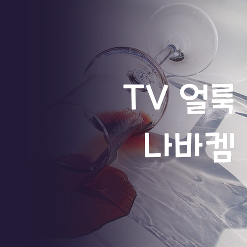 TV 관리 필수템 나바켐 액정 클리너..
