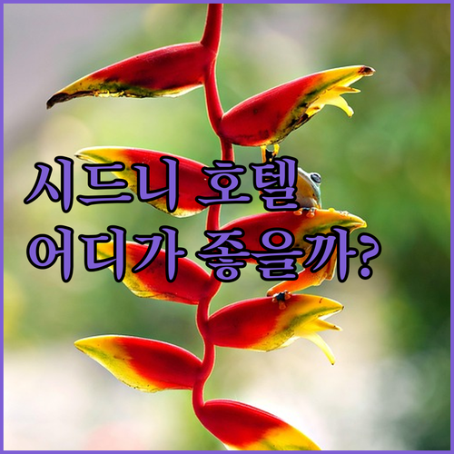 시드니 럭셔리 호텔 완벽 분석 W 시