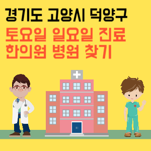 경기도 고양시 덕양구 일요일 한의원 진료 병원 리스트