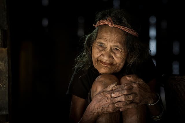 자동 커튼·블라인드로 햇빛·온도 조절: 노인 맞춤 스마트홈 솔루션