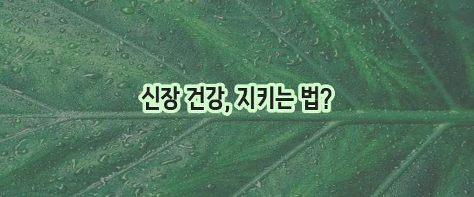 신장질환 원인과 예방 꼼꼼하게 알아봐야 합니다