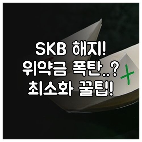 SK브로드밴드 위약금 (할인 반환금)..