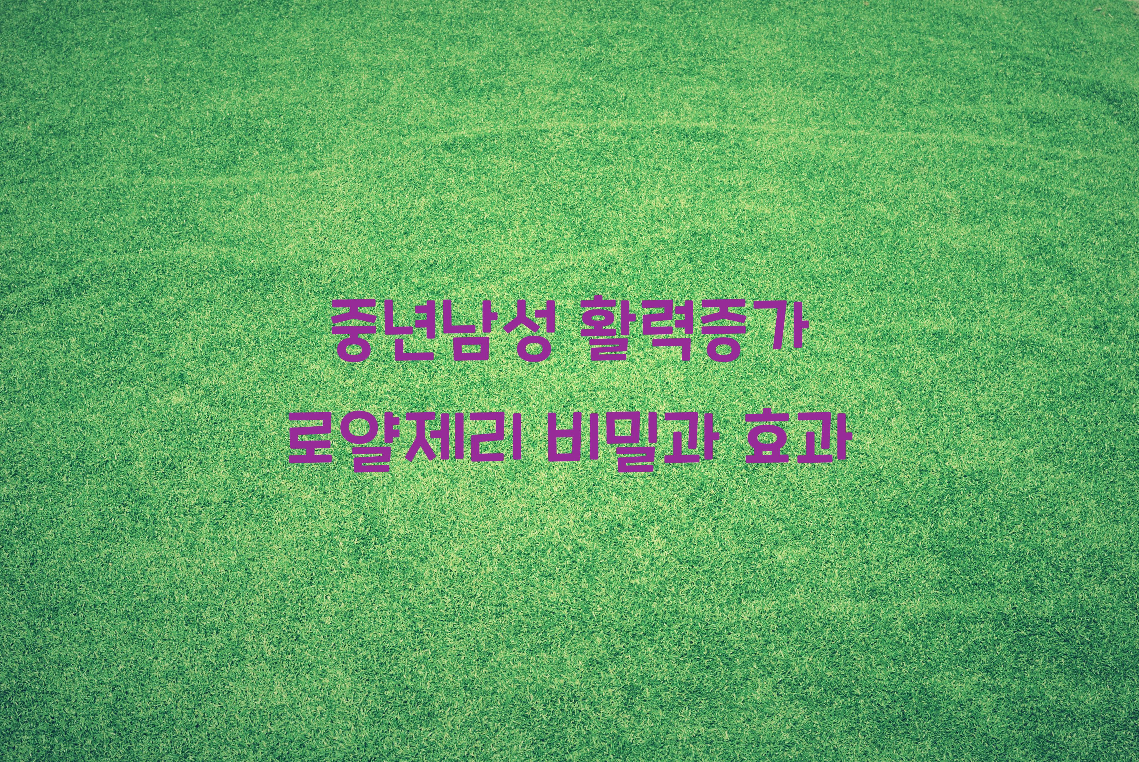 중년남성 활력증가 로얄제리