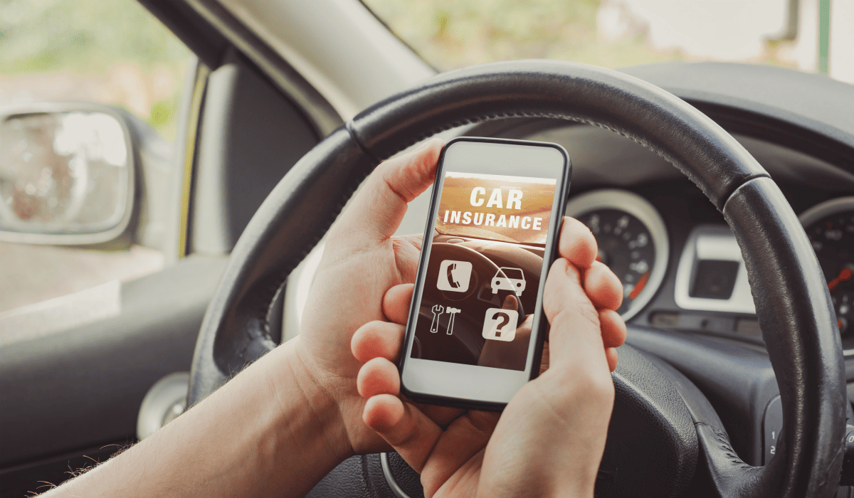 자동차_검사기간_조회_13