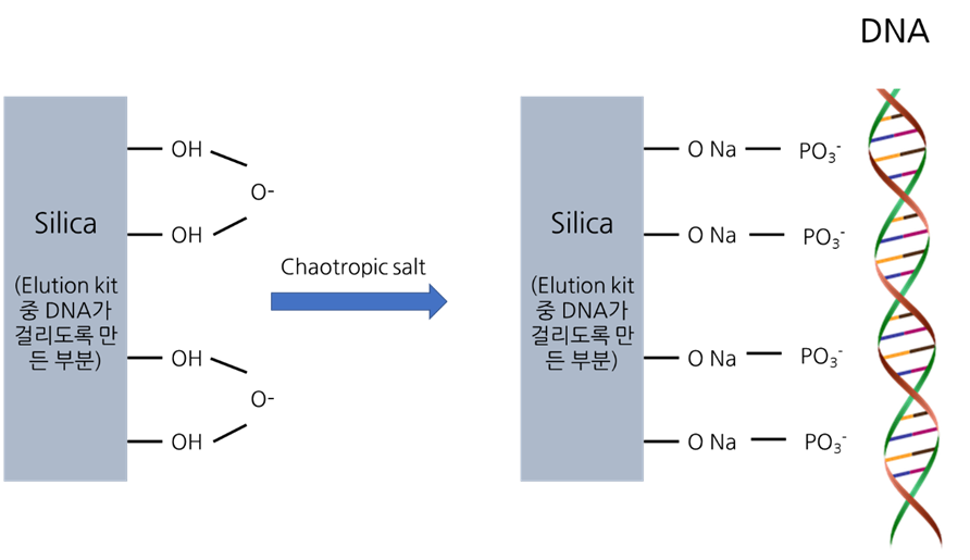 DNA gel elution