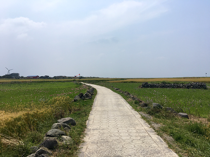 가파도-풍경-자전거-타고-즐기기19