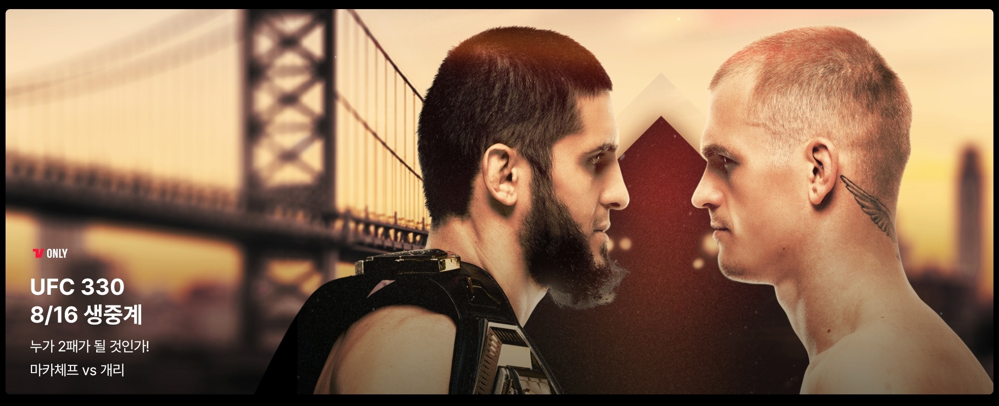 UFC 330
