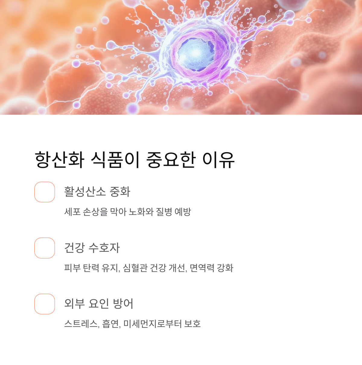 젊음과 건강 지키는 필수템