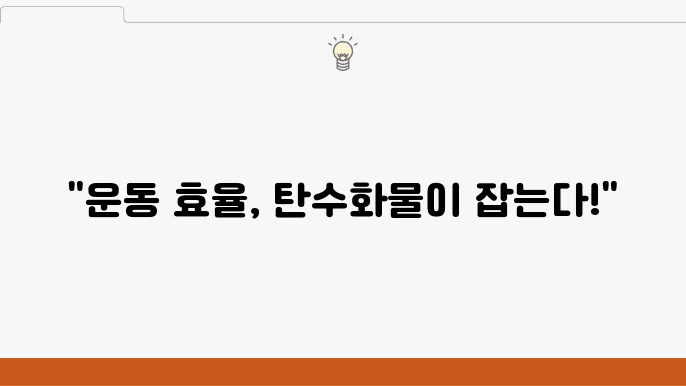 운동 중 탄수화물 섭취가 중요한 이유는