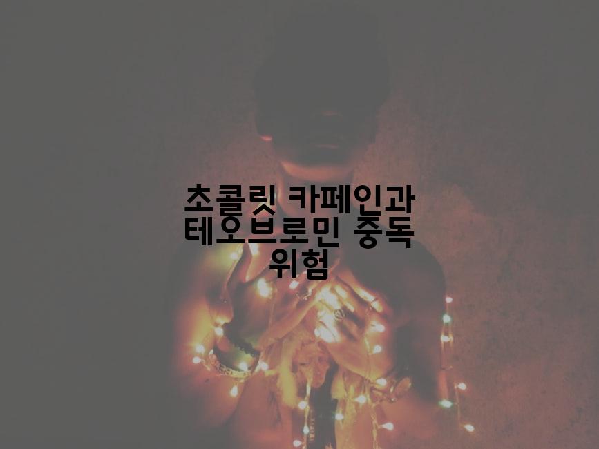 초콜릿 카페인과 테오브로민 중독 위험