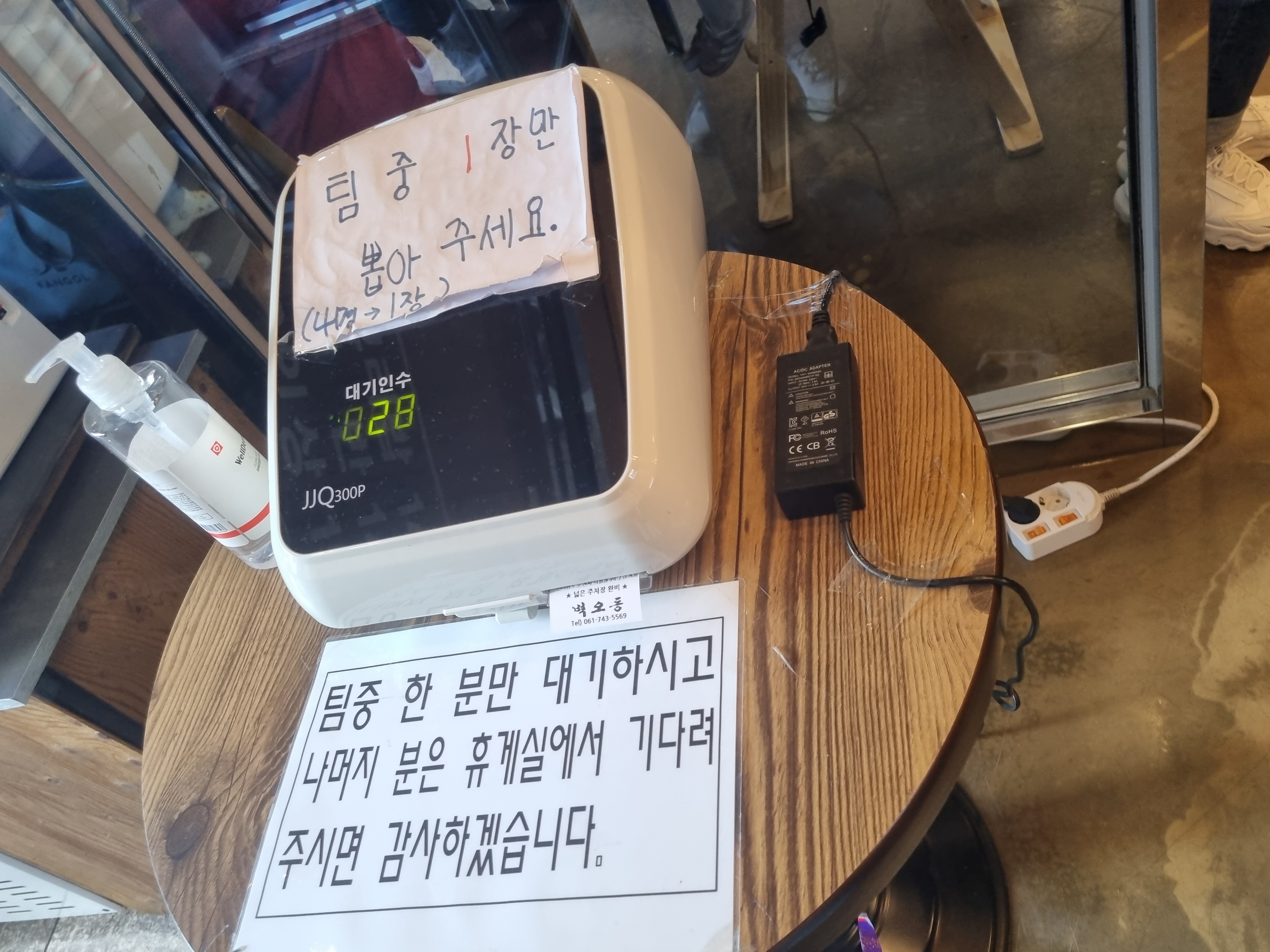 벽오동