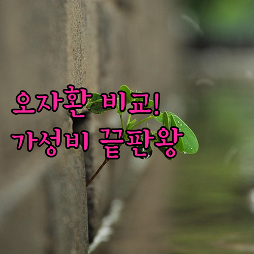 남성 활력 복분자 산수유 오자환 제품..