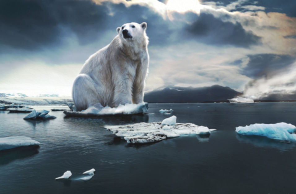 1등급 가전 환급제도