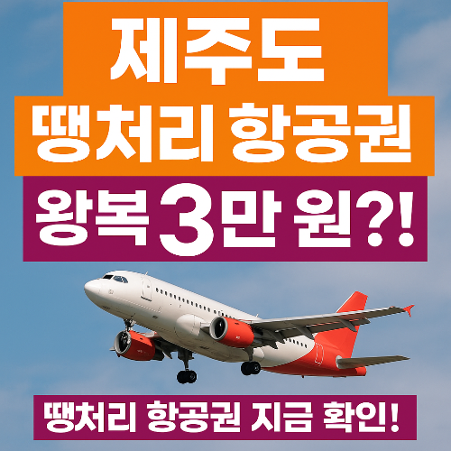 제주도 땡처리 항공권