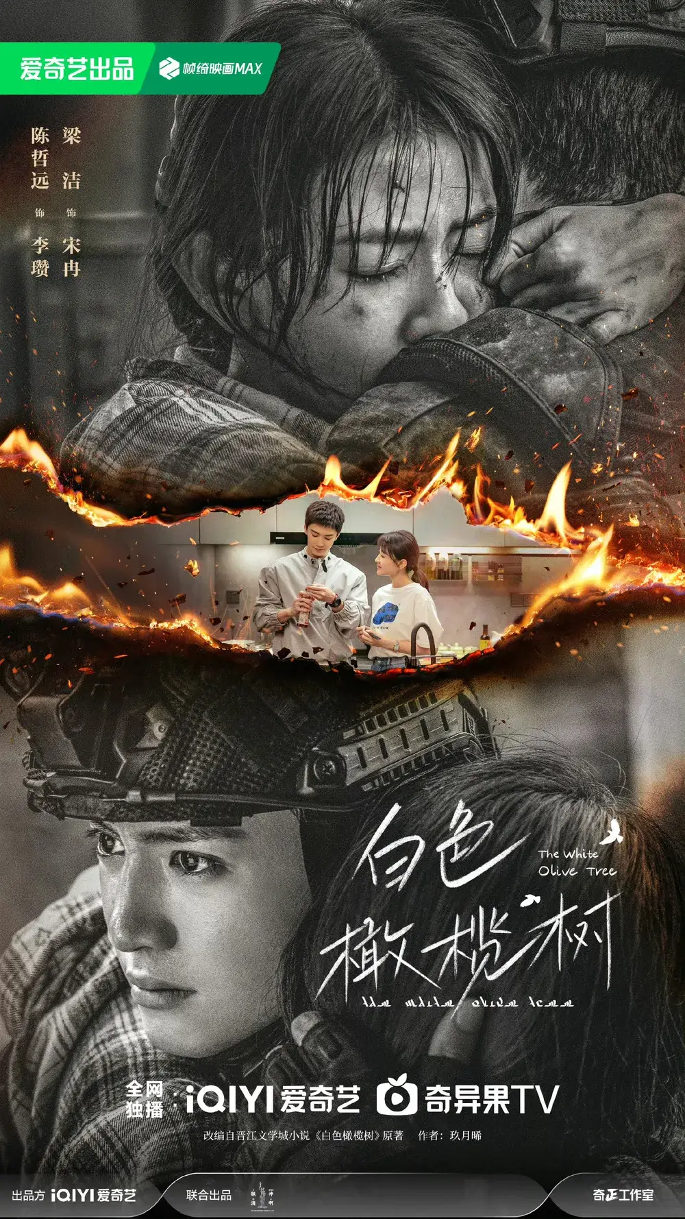 중드 백색감람수