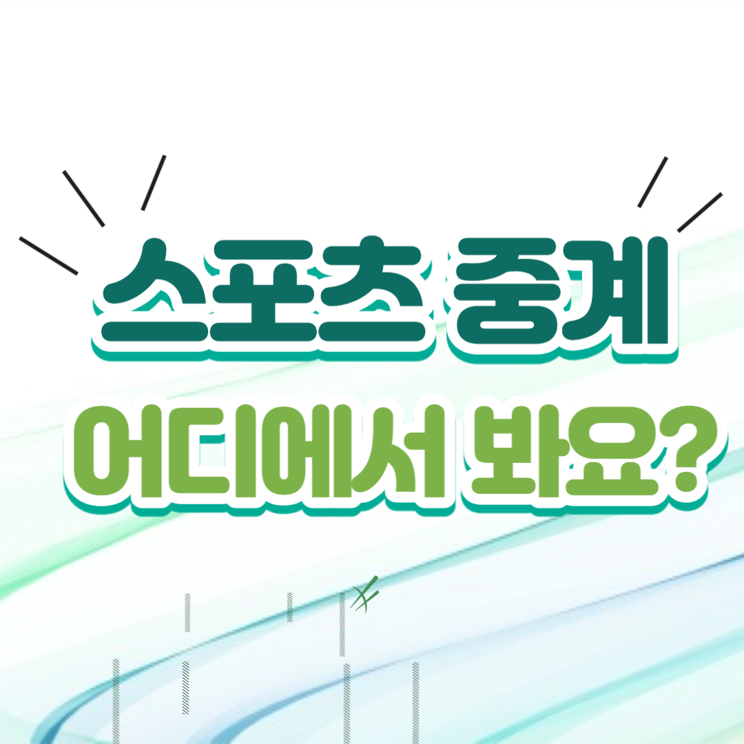 스포츠 중계 손흥민 황희찬