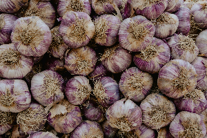 쥐젖 제거 방법, 예방