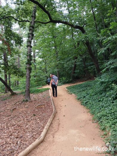 흙길이 자연스럽게 이어지는 곡선형 서울 어린이대공원 숲길을 맨발로 걷는 중장년의 모습-서울맨발 걷기 좋은곳
