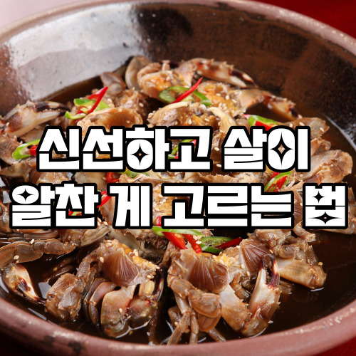 알찬 게 고르는법