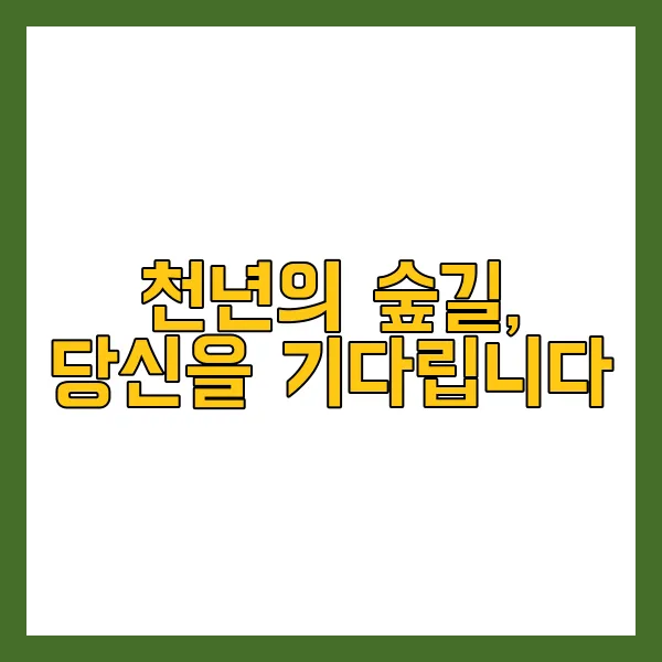 천년의 숲길, 당신을 기다립니다