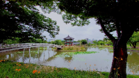 서울 가볼만한 곳 경복궁