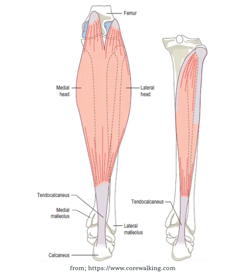 슬개대퇴통증증후군: 원인, 증상 및 효과적인 관리 방법
