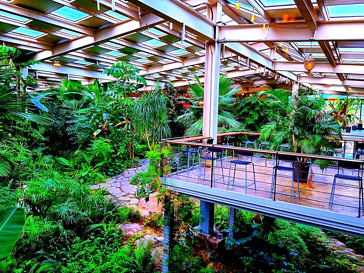 양주 오랑주리 카페: 자연 그대로 실내에 담은 대형 식물원 카페