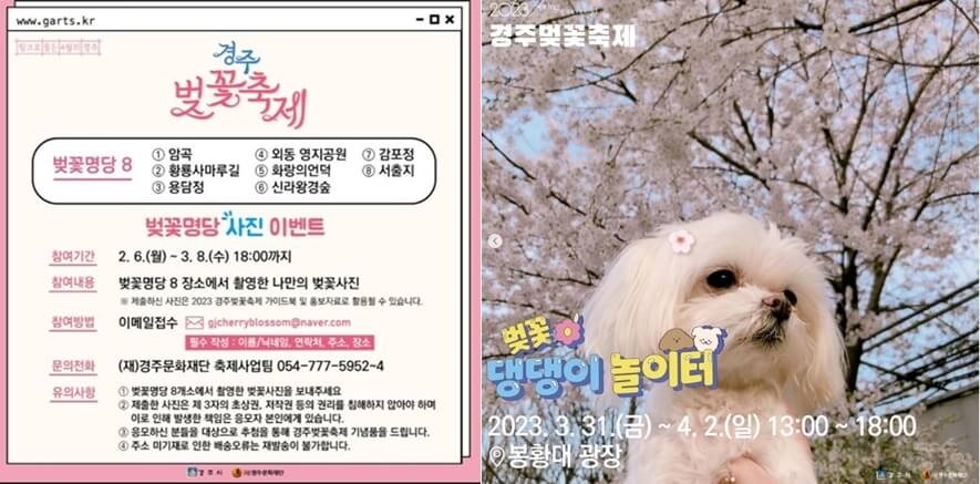 경주 벚꽃 축제 안내문